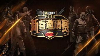 春节吃鸡爆料视频播放在线观看,揭秘热门视频幕后制作过程